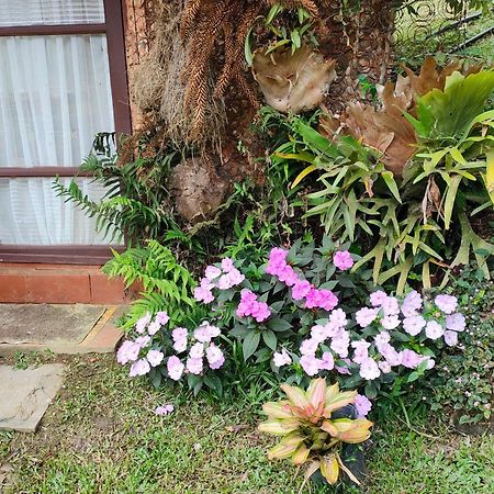 Sitio Mae Terra Hotel Afonso  Kültér fotó