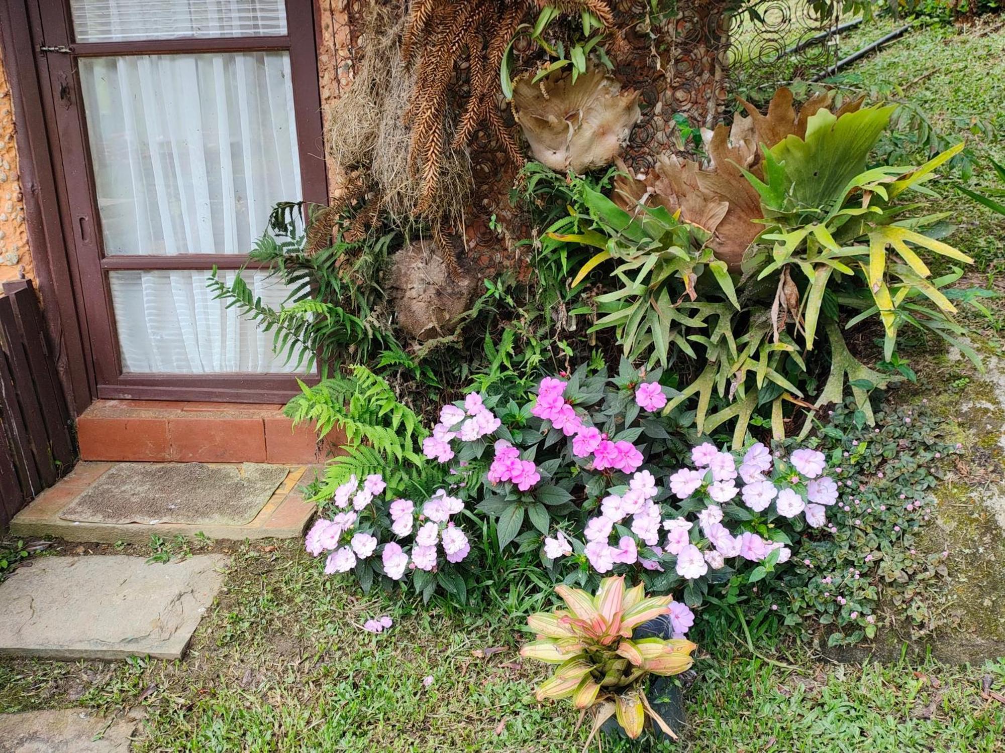 Sitio Mae Terra Hotel Afonso  Kültér fotó